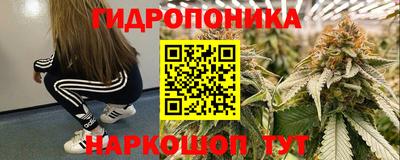 сатива Краснознаменск