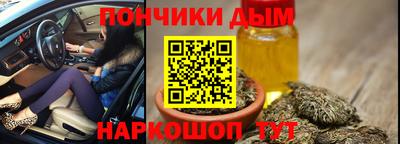сатива Краснознаменск