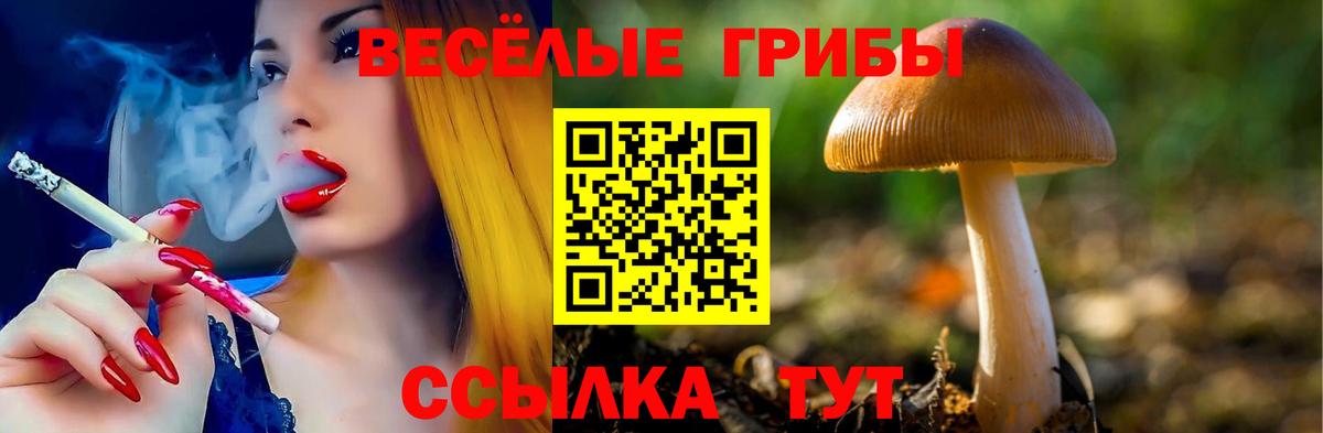 Псилоцибиновые грибы Magic Shrooms Краснотурьинск